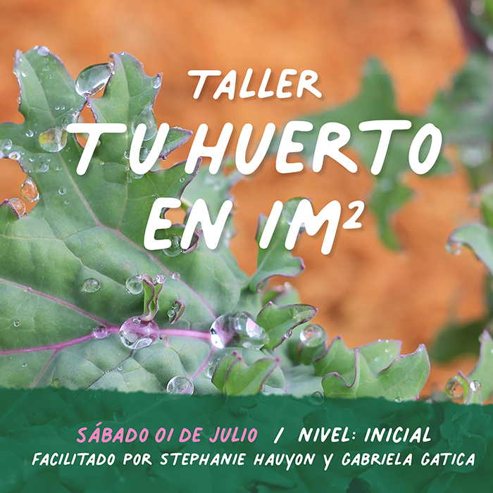Taller Tu Huerto en 1m2 WEB